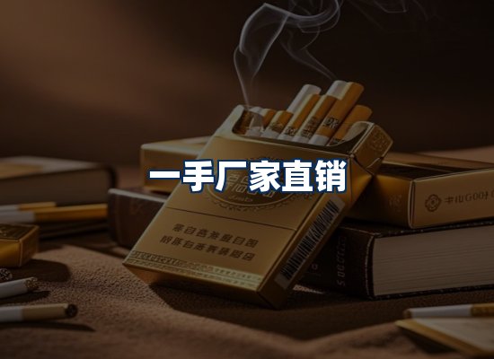 专业团队办公环境